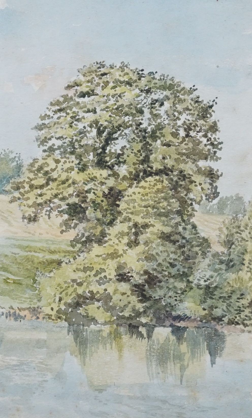 Clark Rampling (c.1850), An oak by a pool Hatton Water, Lancashire, watercolour, 13 x 8.25cm